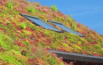 Everthorpe living roof systems